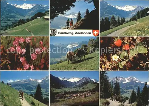 Adelboden Hoernliweg Berner Oberland Kat. Adelboden
