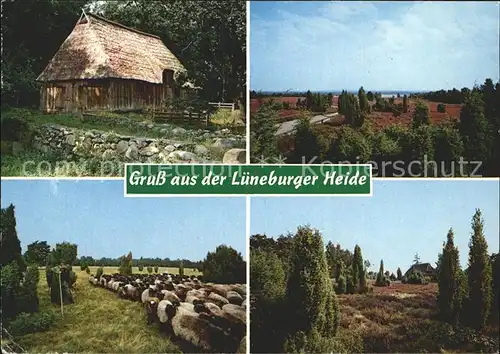 Lueneburger Haide Schafe Huette Heide Kat. Walsrode