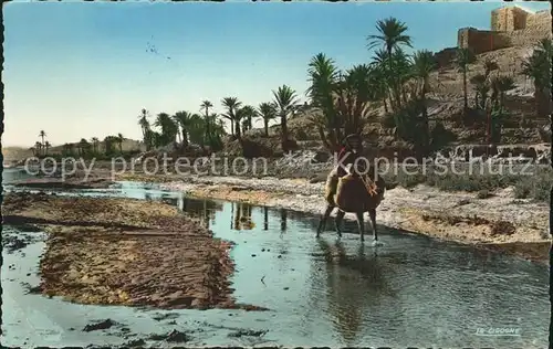 Marokko Maroc Esel Palmen Haus Kat. Marokko