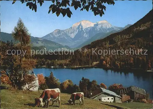 Hintersee Berchtesgaden Kehlstein Goell Brett Kat. Berchtesgaden