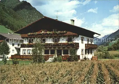 Ahrntal Suedtirol Pension Alpenland Steinhaus Kat. Bozen Suedtirol