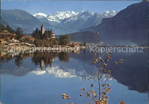 Brienz BE Brienzersee Tierberge Sustenhorn Steinhaushorn Kat. Brienz