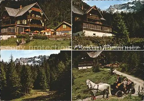 Badgastein Alpenhaus Prossau Pferdekutsche  Kat. Bad Gastein