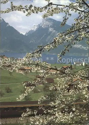 Spiez Thunersee BE Haeuser Berge / Spiez /Bz. Niedersimmental