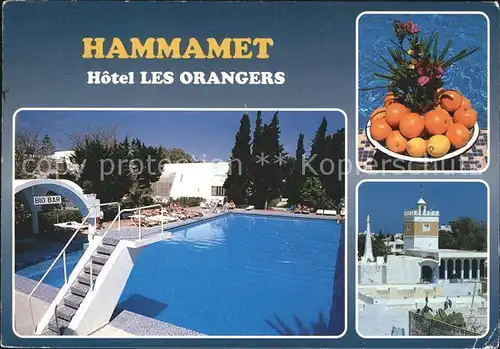 Hammamet Hotel Les Orangers Swimmingpool / Tunesien /