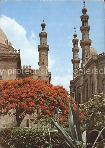 aegypten The Citadel Sultan Hassan and El Rifai Mosques / aegypten /