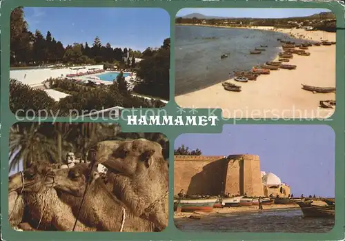 Hammamet L`Hotel Miramar / Tunesien /