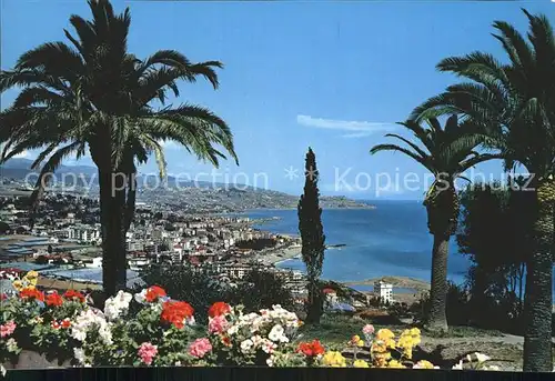 Sanremo Riviera dei Fiori Palmen Kat. 