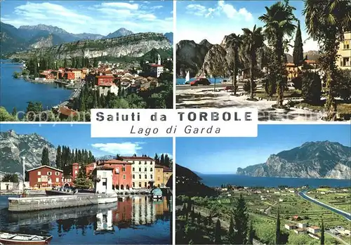 Torbole Lago di Garda Hafen Palmen  Kat. Italien