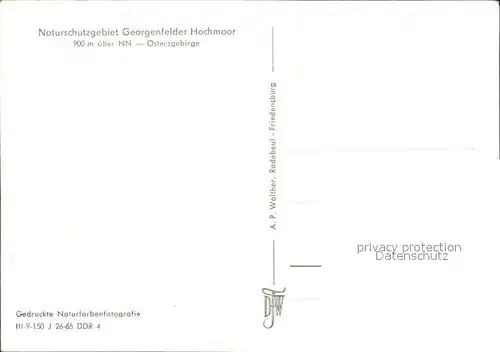 Georgenfeld Georgenfelder Hochmoor  Kat. Zinnwald Georgenfeld