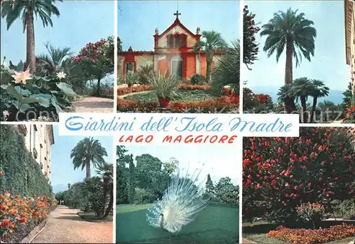 Lago Maggiore Giardini dell isola madre Kat. Italien