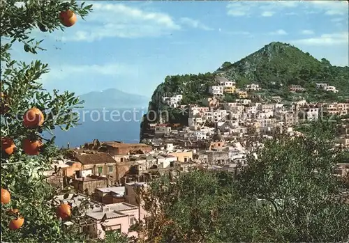 Capri Teilansicht Kat. Golfo di Napoli