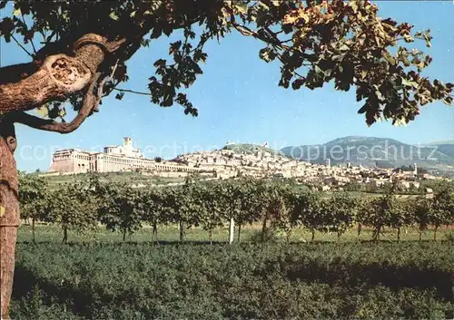 Assisi Umbria Gesamtansicht Kat. Assisi