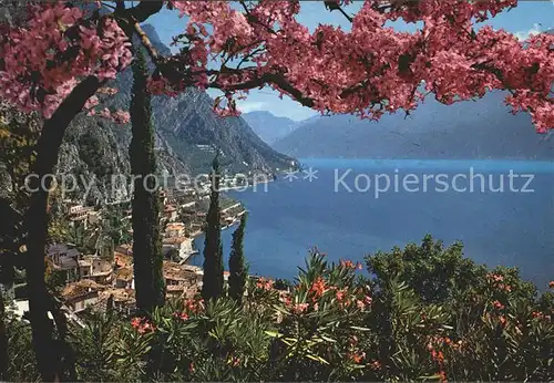 Limone sul Garda Panorama Kat. 