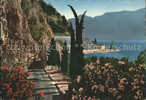 Limone sul Garda Zitonergarten Kat. 