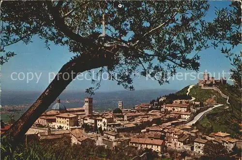 Assisi Umbria Panoram aus Rocchicciola Kat. Assisi
