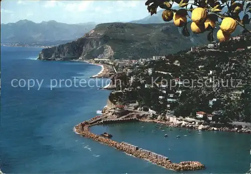 Finale Ligure Panorama Zitronenbaum