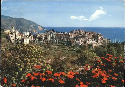 Corniglia Cinque Terre Panorama