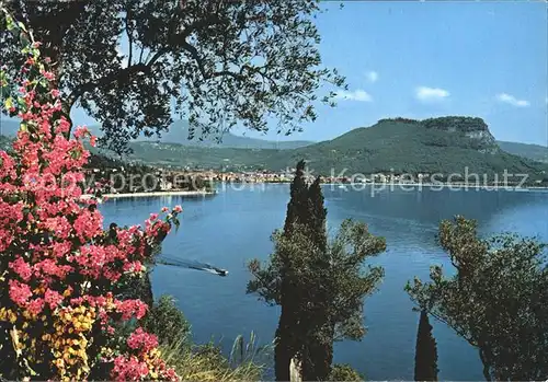 Garda Gardasee Panorama Kat. Lago di Garda 