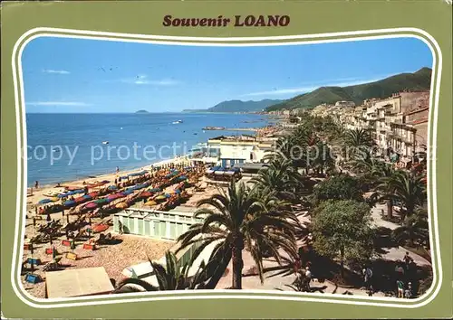 Loano Strand Palmen Meer  Kat. Italien