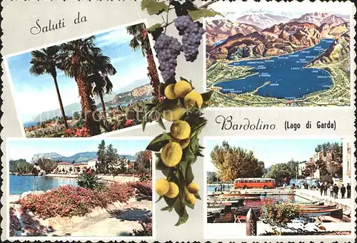 Bardolino Lago di Garda See Panorama Uferpromenade Zitronen Weintrauben Bootsanlegestelle