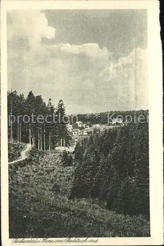 Bockswiese Hahnenklee Harz Blick vom Badesee aus Waldpartie Kupfertiefdruck Kat. Goslar