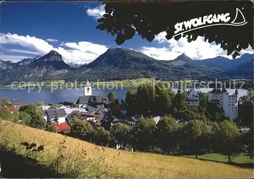 St Wolfgang Wolfgangsee Panorama Kat. St. Wolfgang im Salzkammergut