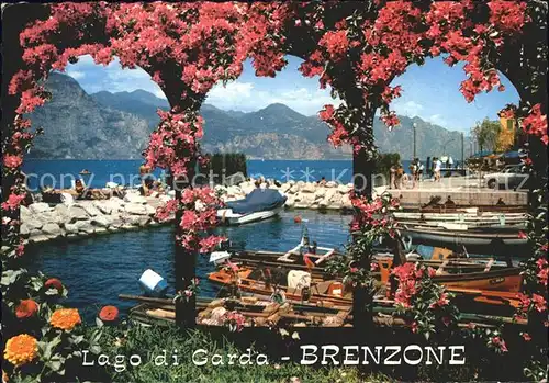 Brenzone Lago di Garda Porto Hafen Gardasee Rosenbusch Alpen