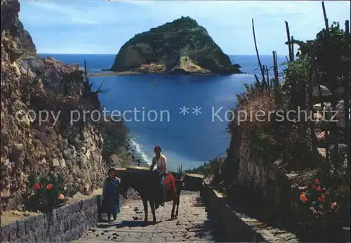 Sant Angelo Ischia Inselbewohner Esel Meerblick