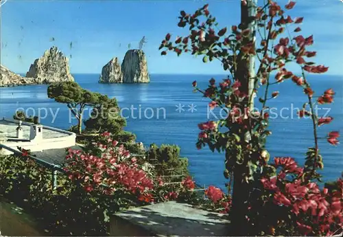 Capri I Faraglioni dai giardini Cesare Augusto Kat. Golfo di Napoli