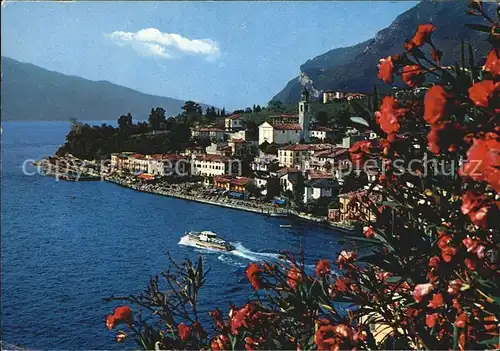 Gardasee Lago di Garda Stadtansicht Kat. Italien