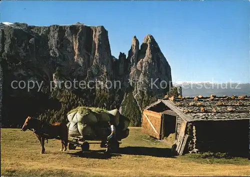 Seiser Alm Gegen den Schlern Kat. Seis am Schlern Kastelruth Suedtirol