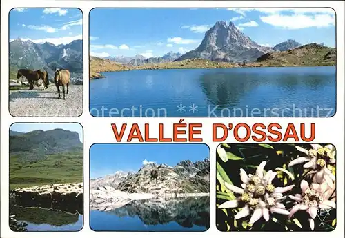 Pyrenees Region Le Pic du Midi d`Ossau lac d`Ayous Kat. Lourdes