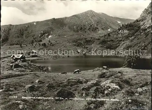 Kaernten Beggasthof Falkerseehuette Moschelitzen Kat. Villach