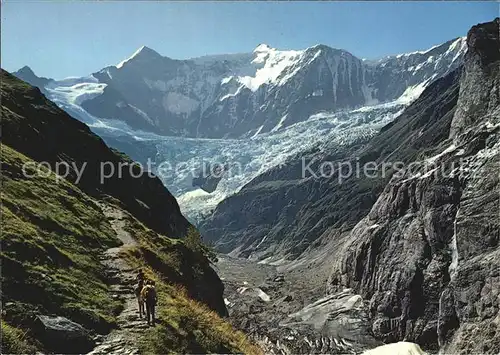 Fiescherwand Weg Pfingstegg-Stieregg / Fiesch /Bz. Goms