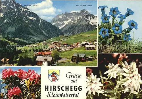 Hirschegg Kleinwalsertal Vorarlberg Edelweiss Enzian Widderstein Zwoelfer Kat. Mittelberg