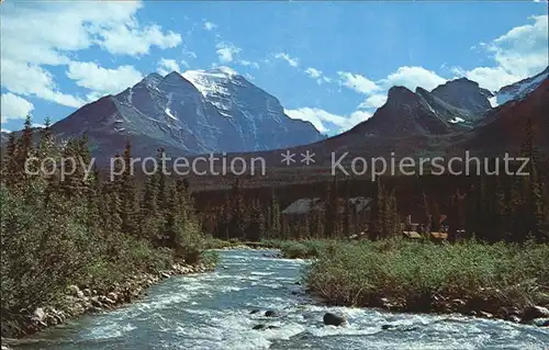 Canadian Rockies Pipestone River with Mount Temple / Kanada /