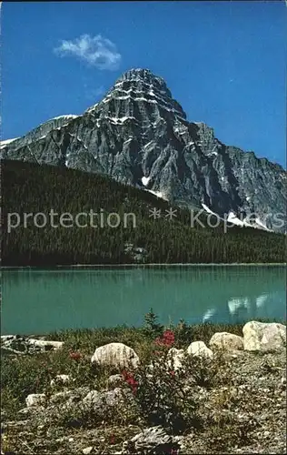 Canadian Rockies Mt Chephren and Waterfowl Lake / Kanada /