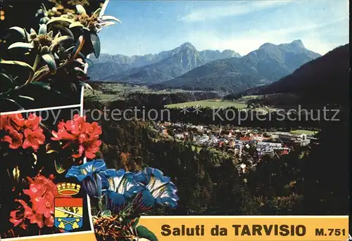 Tarvisio 