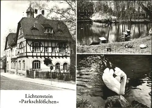 Lichtenstein Hohenstein Ernstthal Parkschloesschen Schwanenteich Kat. Hohenstein Ernstthal