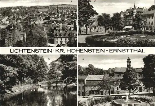 Lichtenstein Hohenstein Ernstthal Teilansicht Marktplatz Schwanenteich Kat. Hohenstein Ernstthal