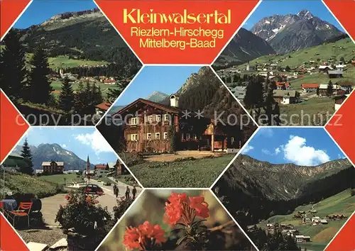 Riezlern Kleinwalsertal Vorarlberg mit Hirschegg Mittelberg und Baad Alpenflora Kat. Mittelberg