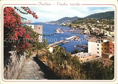 Lacco Ameno Teilansicht mit Hafen Kat. Ischia Insel Golfo di Napoli