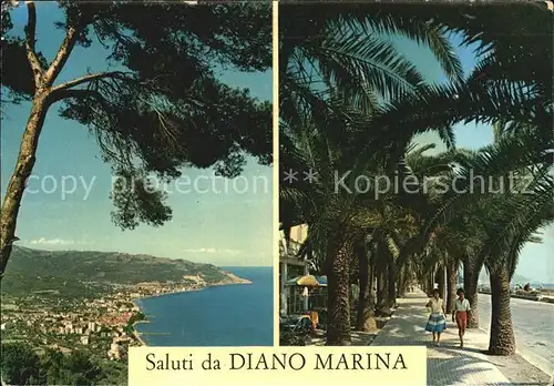 Diano Marina Allee der Palmen Kat. Italien