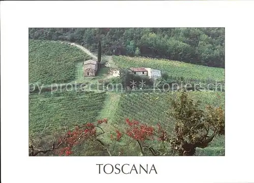 Chianti Toscana pittoresco Kat. Italien