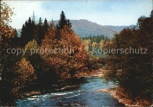 Bieszczady Wetlina w okolicach Smereka