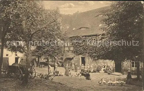 Oberrathen Diakonissenhaus Felsengrund Gutshof Tiere Kat. Rathen Saechsische Schweiz