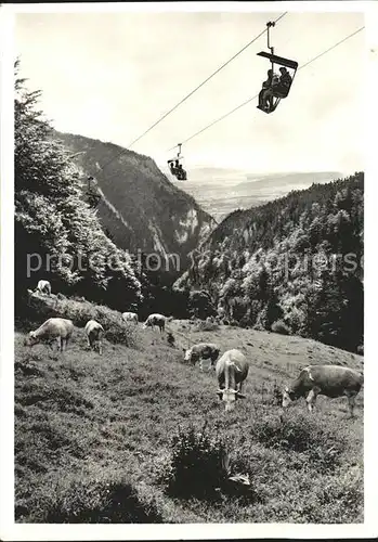 Sessellift Weissenstein Kuehe  Kat. Bahnen