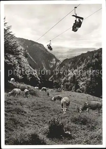 Sessellift Weissenstein Kuehe  Kat. Bahnen