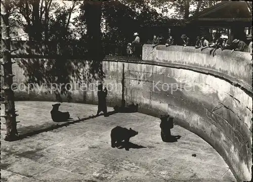 Baeren Bern Baerengraben  Kat. Tiere